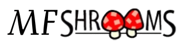 MF Shrooms Ann Arbor