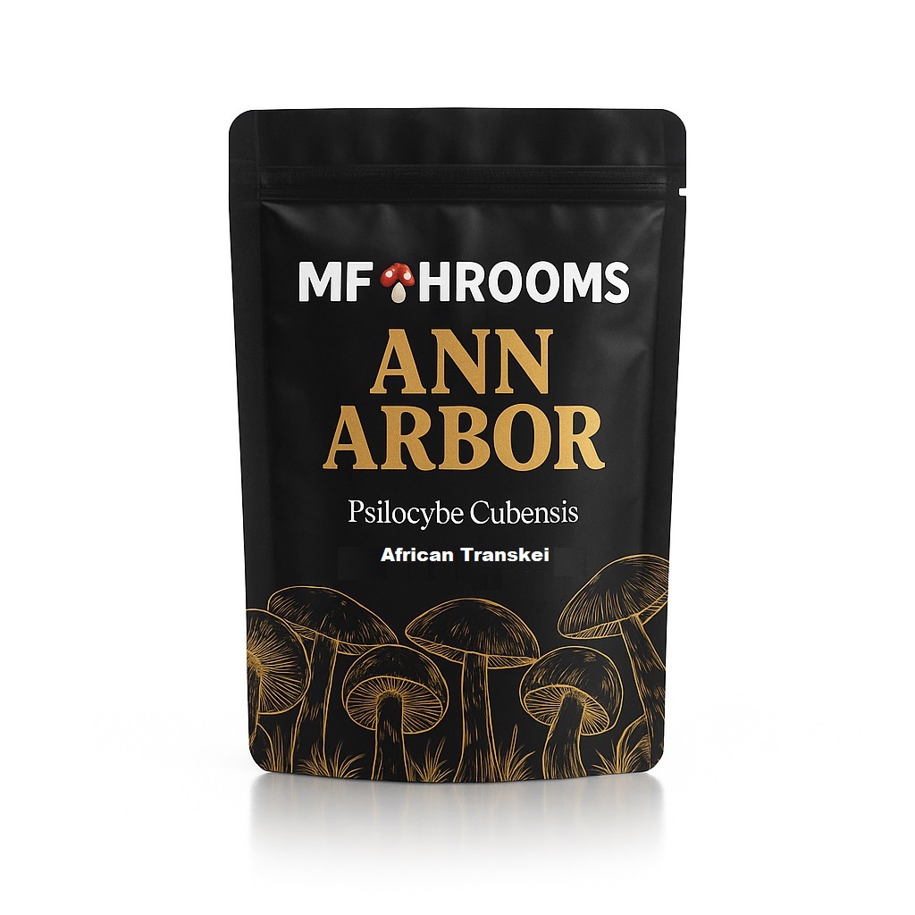 African Transkei Mushroom