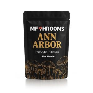 Buy Blue Meanie Magic Mushrooms Online