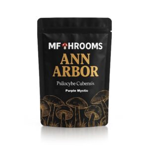 Purple Mystic Magic Mushrooms