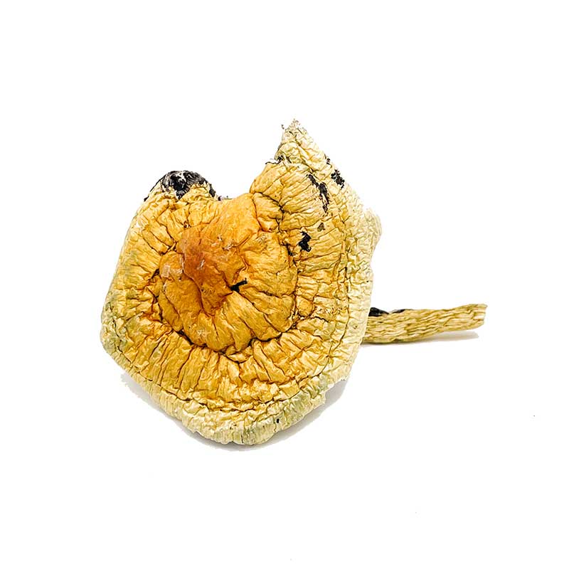 Liberty Cap - Image 2